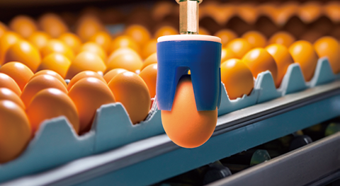 SFG MVG 계란 식품 분류 응용 프로그램 – SRT | CHINA BEST SOFT GRIPPER MANUFACTURER ...