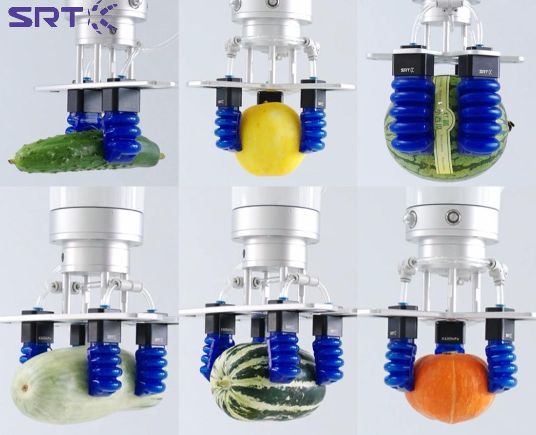 A picture of SRT Food-Grade Soft Gripper for Melon Sorting and Packaging88
