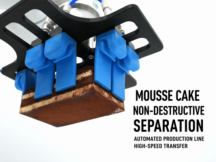 How SRT Enables Damage-Free Automation for Delicate Frozen Mousse Cake Production