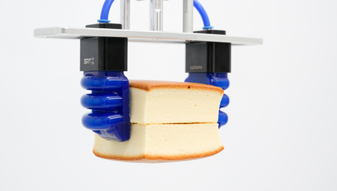 SRT Real Case: Automated Grasping for Double-Layer Cakes