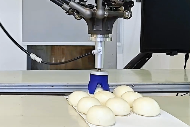 SRT Real Case: Automated Loading System for Steamed Buns