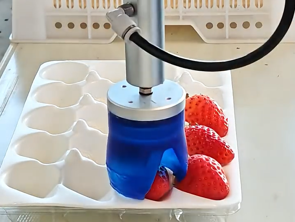 SRT Transforming Strawberry Processing with Automated Sorting & Gentle Handling Solutions