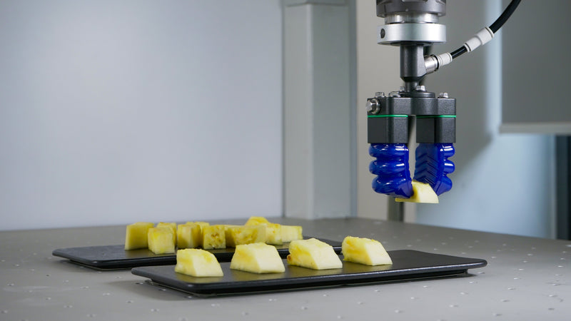 SFG S_food_grade_Finger_Gripper_GRIP_fruits