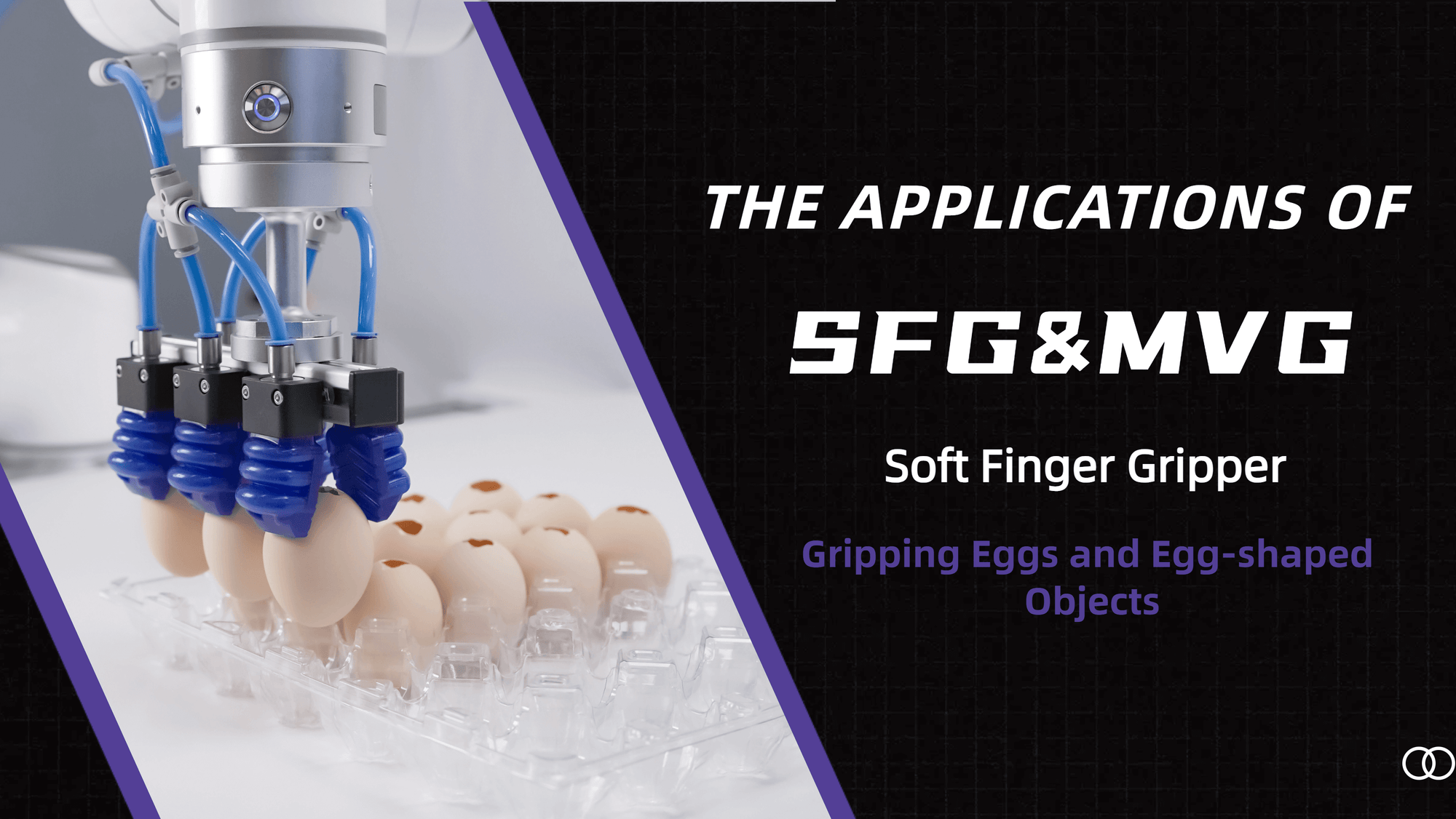 A picture of SFG_MVG_Soft_Finger_Gripper_Gripping_Eggs_