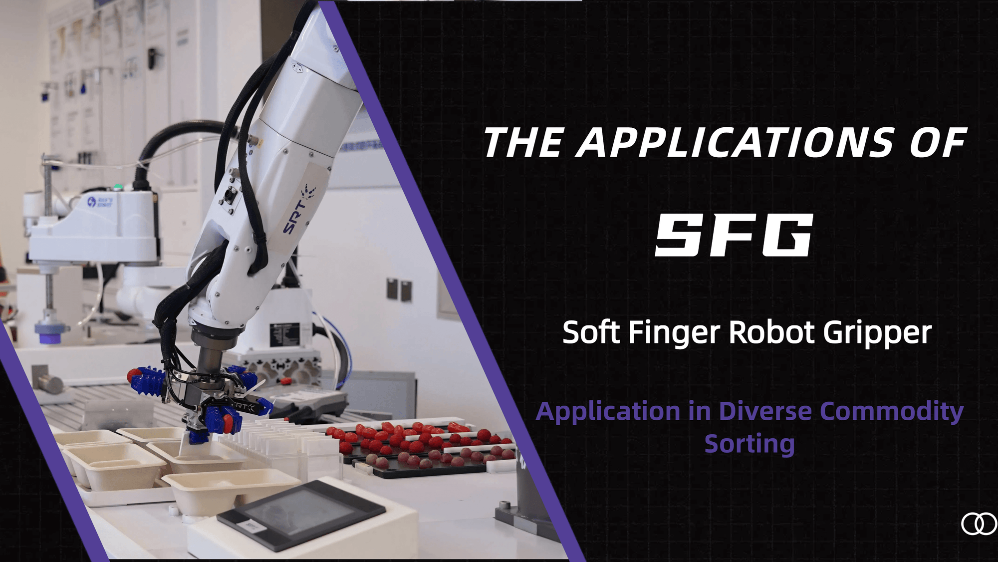 A picture of SRT_Soft_Finger_Robot_Gripper_Application_in_Diverse_Commodity_Sorting